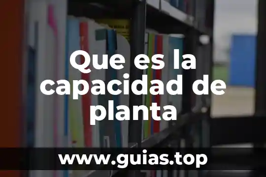 Planta muicle para que es 6 Que es la capacidad de planta