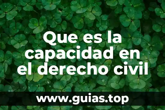 Que es una solicitar de nombre para el registro civil 3 Que es la capacidad en el derecho civil