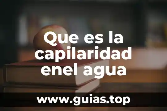 Que es una planta de ornato 8 Que es la capilaridad enel agua