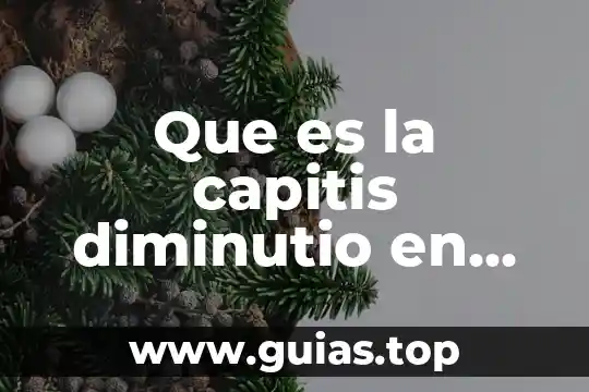 Concepto doctrinal de riesgo en derecho mercantil que es 6 Que es la capitis diminutio en derecho