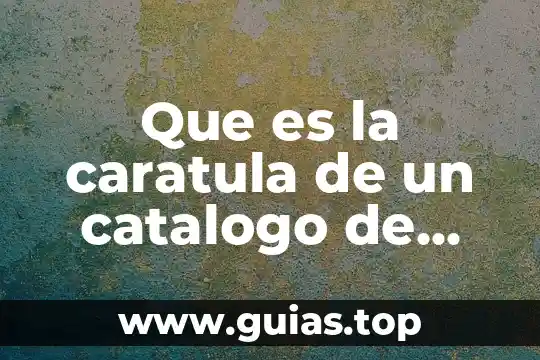 Caratula de datos bancarios que es 6 Que es la caratula de un catalogo de cuentas
