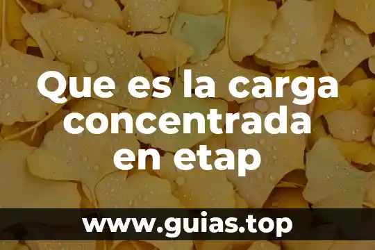 Que es el uso privado de la razon concepto 8 Que es la carga concentrada en etap