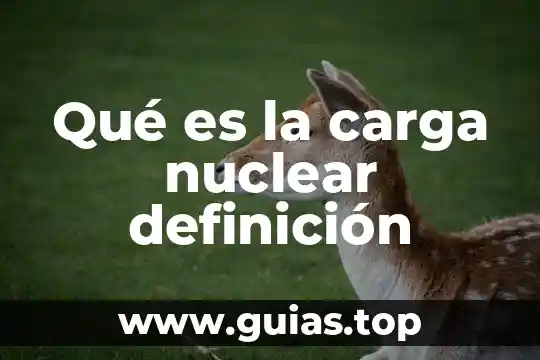 Qué es una planta nuclear y un reactor nuclear 4 Qué es la carga nuclear definición