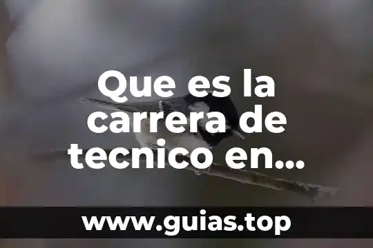 Que es un registros técnico 6 Que es la carrera de tecnico en aeronautica