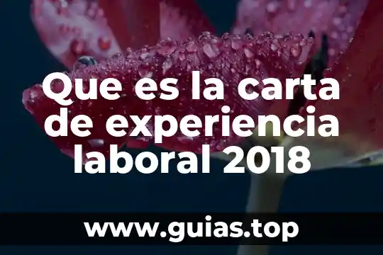 Qué es el código de vestimenta laboral 4 Que es la carta de experiencia laboral 2018