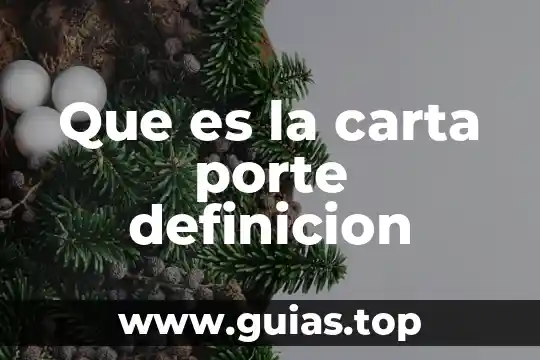 Qué es definición del problema en programación 4 Que es la carta porte definicion