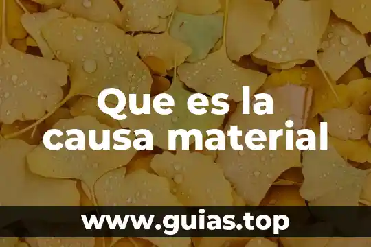 Parte de una flor que es el androceo 8 Que es la causa material