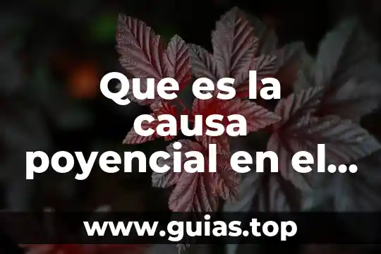 Infecion gastrointestinal que es y en que la causa 3 Que es la causa poyencial en el amef