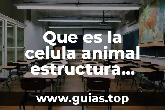 Que es una cortana y sus funciones 7 Que es la celula animal estructura partes y funciones