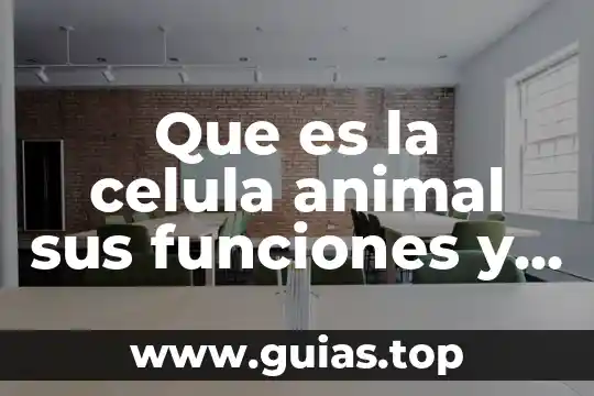 Funciones en Excel que es contar 3 Que es la celula animal sus funciones y sus partes
