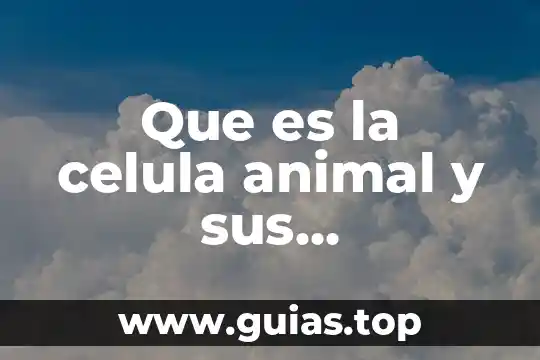 Que es animal de ornamento 5 Que es la celula animal y sus componentes