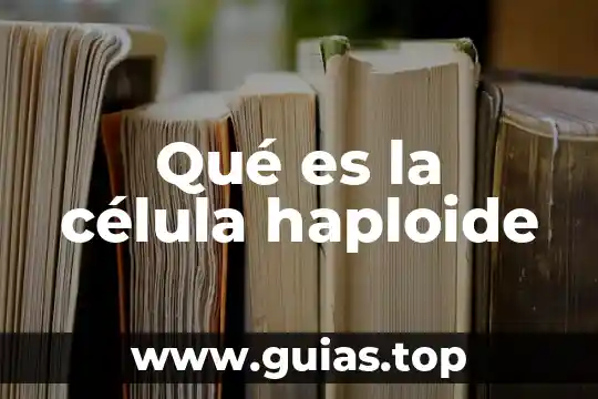 Qué es el concepto de célula eucariota 4 Qué es la célula haploide