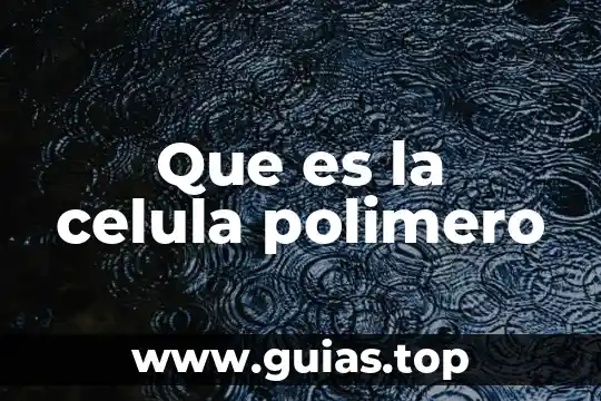 Que es un polimero y tipos 4 Que es la celula polimero