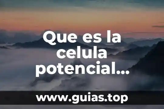 Que es la energia cinética y potencial redalyc 3 Que es la celula potencial tumoral