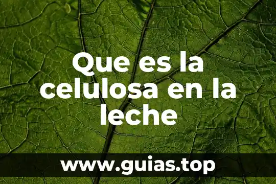 Que es celulosa batida en agua 4 Que es la celulosa en la leche