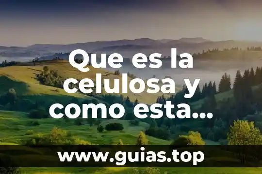 Que es celulosa batida en agua 5 Que es la celulosa y como esta formada