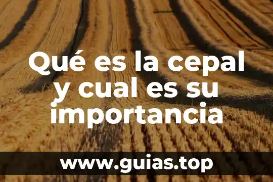 Que es soñar despierto e importancia 4 Qué es la cepal y cual es su importancia