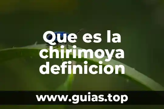 Qué es un anuncio en publisher definición 4 Que es la chirimoya definicion