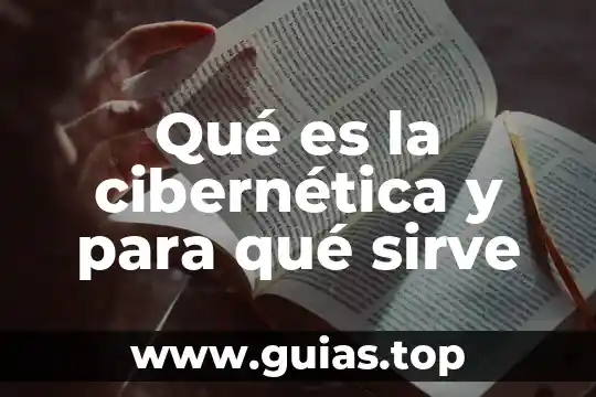 Que es un archivo vertical y para que sirve 6 Qu茅 es la cibern茅tica y para qu茅 sirve