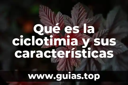 Qué es un lector tipos y características 3 Qué es la ciclotimia y sus características