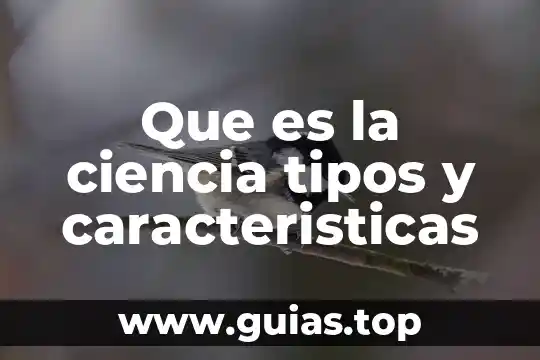 Qué es macroempresa características 5 Que es la ciencia tipos y caracteristicas