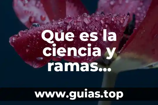 Qué es la filosofía y sus principales ramas 8 Que es la ciencia y ramas principales