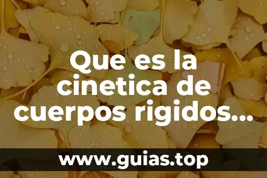 Qué es vértices de los cuerpos geométricos 3 Que es la cinetica de cuerpos rigidos ejercicios