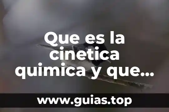 Que es cinetica en tipos de energia 7 Que es la cinetica quimica y que mide