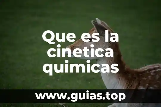 Que es una reaaccion quimicas reversible 4 Que es la cinetica quimicas