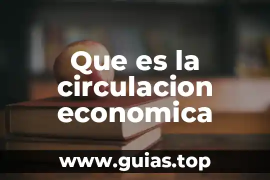 Que es solidez economica 3 Que es la circulacion economica