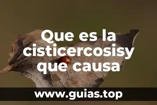 Que es un epiclesis del sol 4 Que es la cisticercosisy que causa