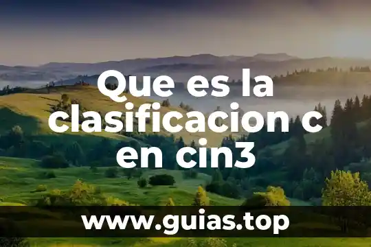 Que es c ldl 6 Que es la clasificacion c en cin3
