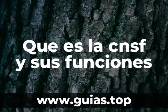 Que es la piel y sus funciones slideshare 4 Que es la cnsf y sus funciones