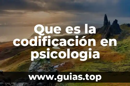 Psicología que es cognición 5 Que es la codificación en psicologia