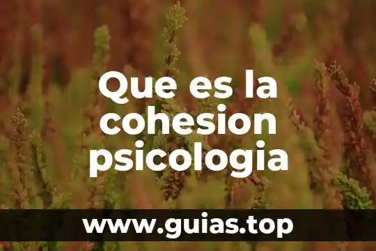 Qué es apoyo social percibido psicología 4 Que es la cohesion psicologia
