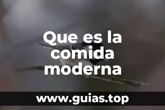 Qué es la novela moderna concepto 7 Que es la comida moderna