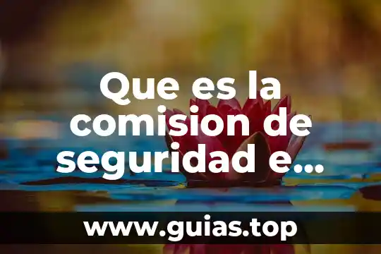Que es la higiene y tipos de higiene 4 Que es la comision de seguridad e higiene