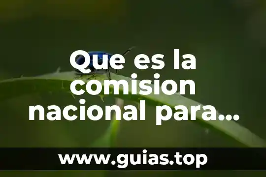 Qué es reparto de utilidades trabajo 5 Que es la comision nacional para el reparto de utilidades