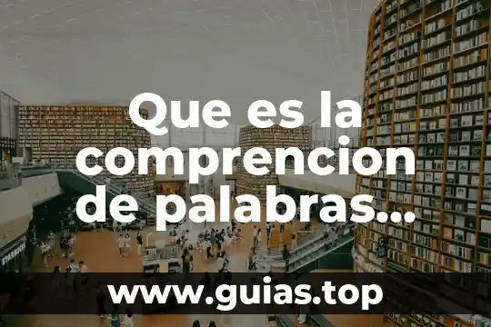 Palabras que es lo mismo pero con diferente nombre 3 Que es la comprencion de palabras cerebro