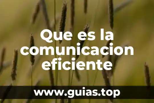 Por que es importante la comunicaci贸n en trabajo social 8 Que es la comunicacion eficiente