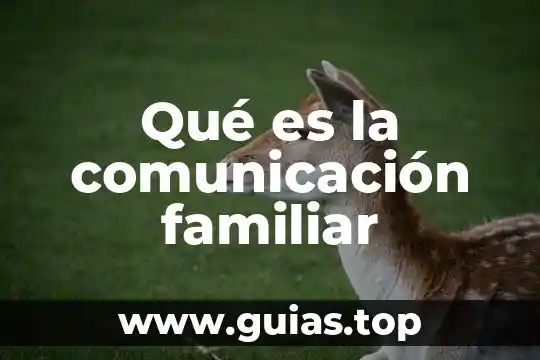 Comunicaci贸n que es y concepto 4 Qu茅 es la comunicaci贸n familiar