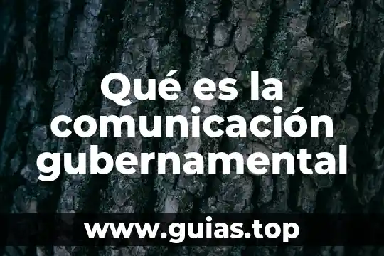 Qué es ontología de la comunicación 7 Qué es la comunicación gubernamental