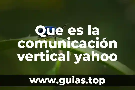 Qué es ontología de la comunicación 3 Que es la comunicación vertical yahoo