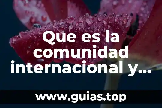Que es ser gata en argentina 8 Que es la comunidad internacional y sus funciones