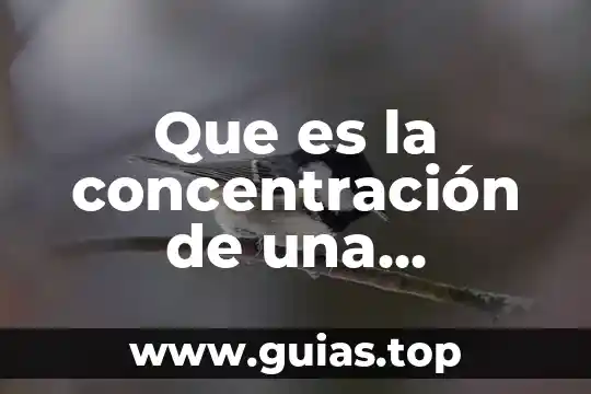Que es el proyecto de solucion 8 Que es la concentración de una solucion quimica