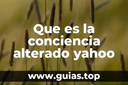 Que es la autoevaluacion de conciencia personal 5 Que es la conciencia alterado yahoo