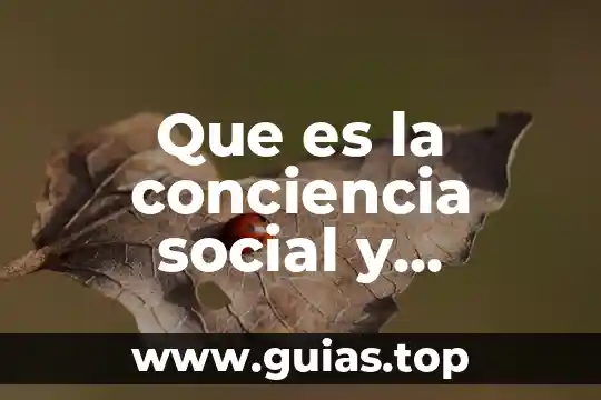 Que es percepcion de la realidad social 8 Que es la conciencia social y cultural