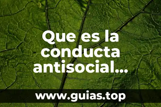 Que es ser tan antisocial 3 Que es la conducta antisocial psicologia
