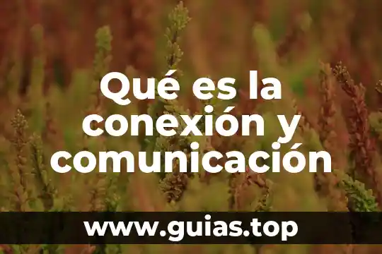 La comunicacion corporativa que es 4 Qué es la conexión y comunicación