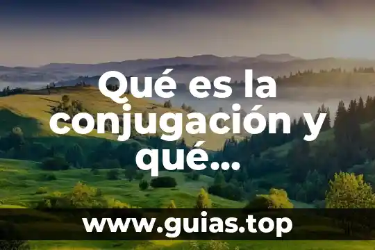 Que es una institucion de credito y su importancia 7 Qué es la conjugación y qué importancia tiene biología